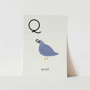 Q for Quail Alphabet Art Print