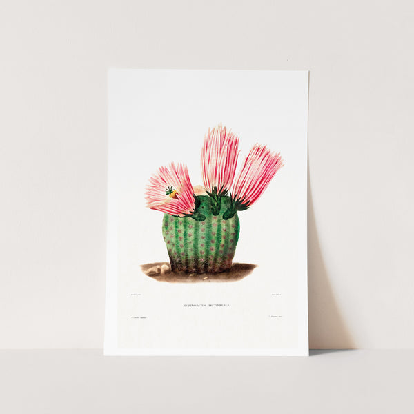 Rainbow Cactus Art Print