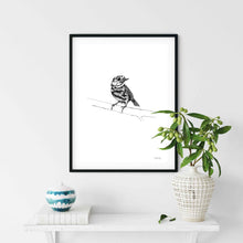 Load image into Gallery viewer, Robin by JMB Art Print