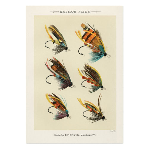 Salmon Flies 1 Art Print