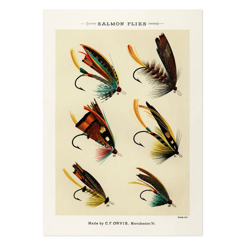 Salmon Flies 2 Art Print