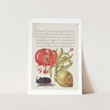Load image into Gallery viewer, Art_print_vintage_poster_flower