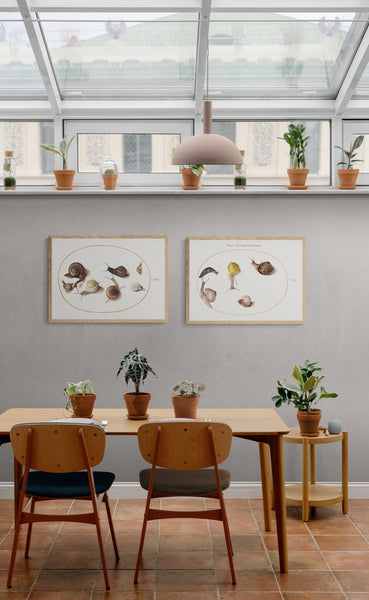 wall_art_vintage_zoology