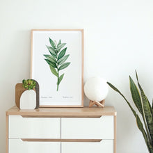Load image into Gallery viewer, Smilacina Plant Art Print