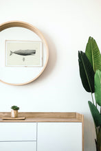 Load image into Gallery viewer, Sperm Whale art print framed