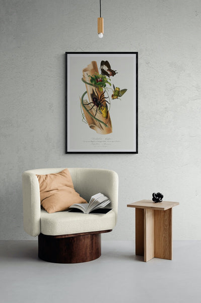 Spotted Pardalote Bird Painting Art Print
