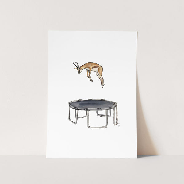 Funcy Springbok Animals