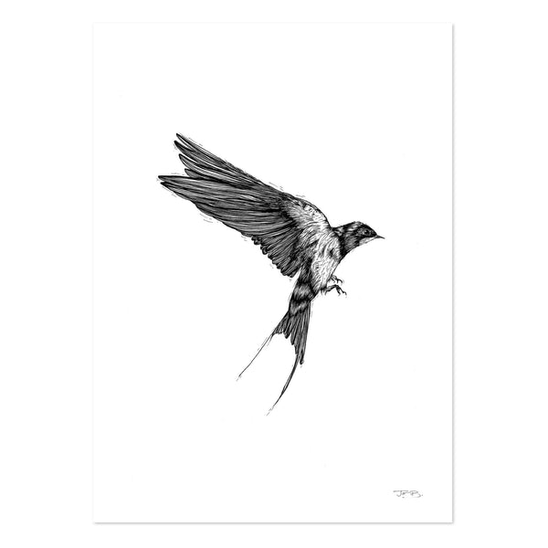 Swallow by JMB Art Print