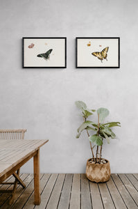 Three Butterflies and a Wasp Art Print