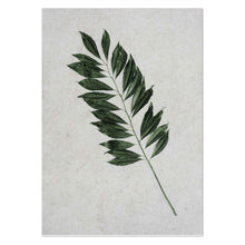 Load image into Gallery viewer, Tropical Leaf by Sonjé Art Print