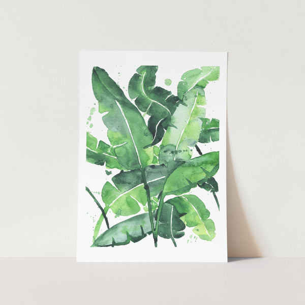 Tropical Botanicals Watercolour 2 Art Print