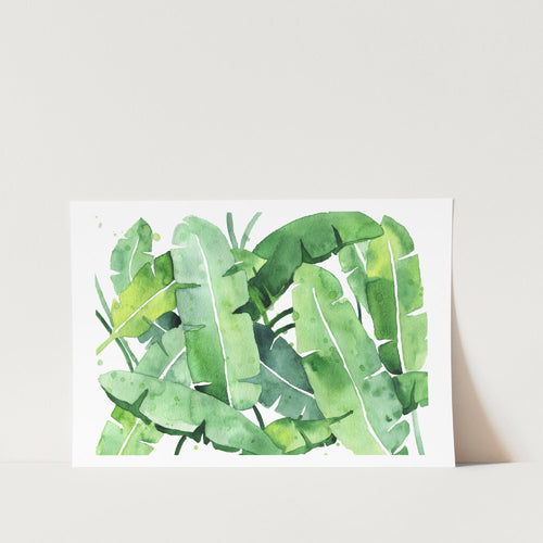 Tropical Botanicals Watercolour 3 Art Print