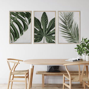 Palm Leaf by Sonjé Art Print