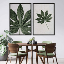 Load image into Gallery viewer, Aralia Leaf II by Sonjé Art Print