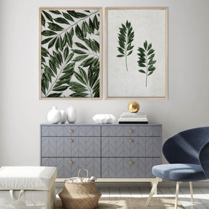 Tropical Leaf Collection by Sonjé Art Print