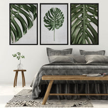 Load image into Gallery viewer, Monstera angle by Sonjé Art Print