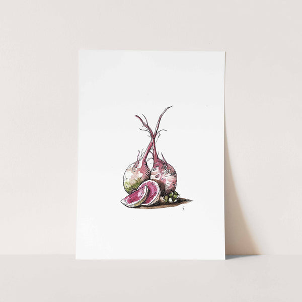 Turnip II Art Print