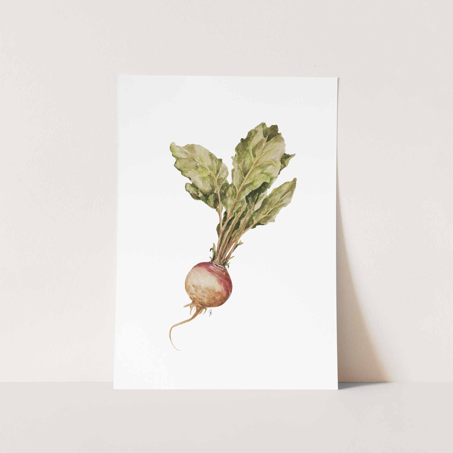 Turnip Art Print