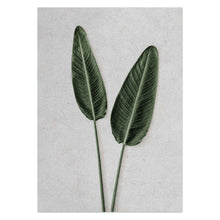 Load image into Gallery viewer, Two Banana Leaves by Sonjé Art Print