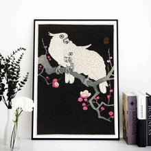 Load image into Gallery viewer, Two cockatoo and plum blossom Art Print