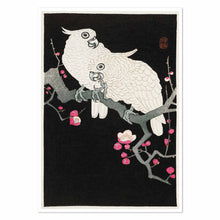 Load image into Gallery viewer, Two cockatoo and plum blossom Art Print