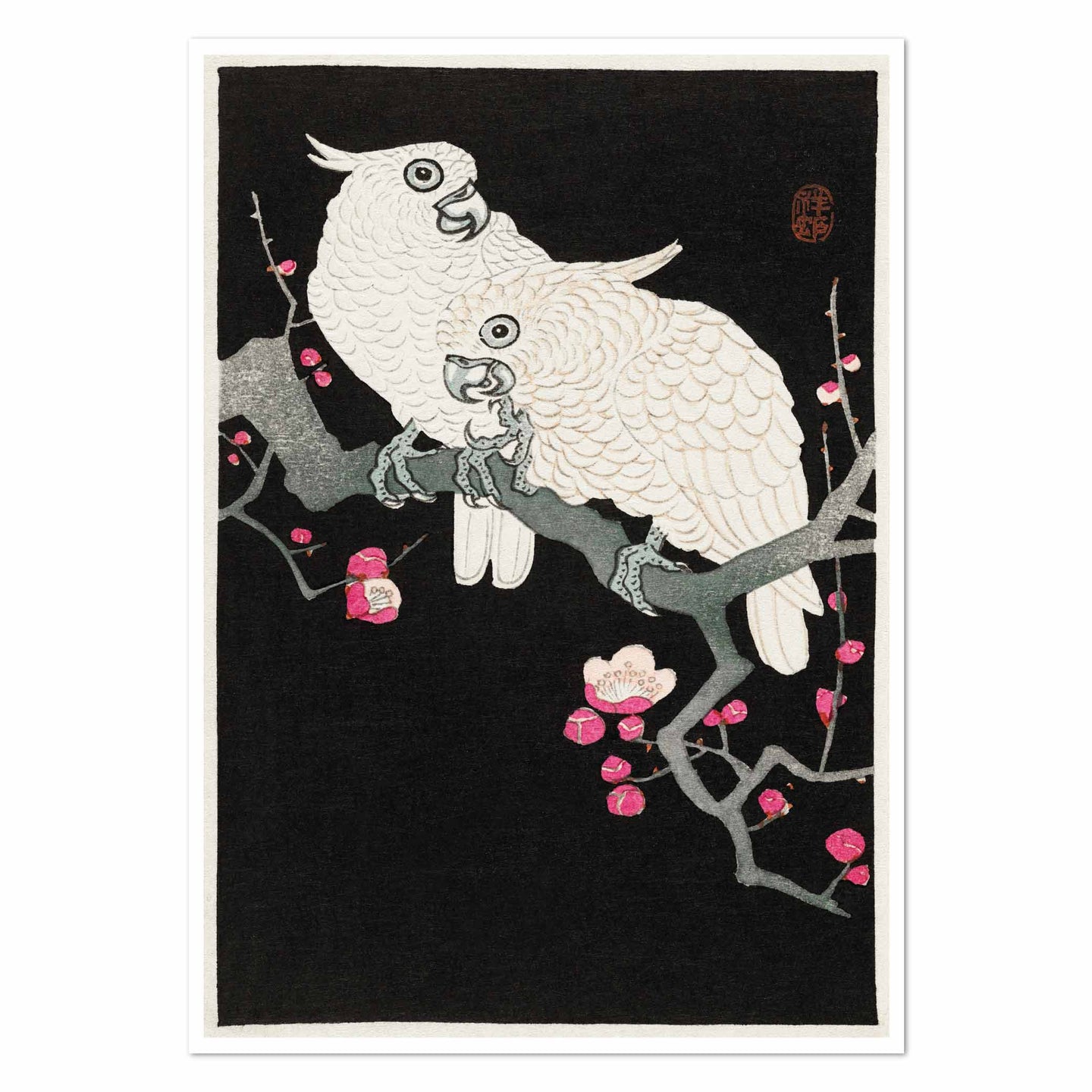 Two cockatoo and plum blossom Art Print