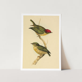 Two Birds Red Top Art Print