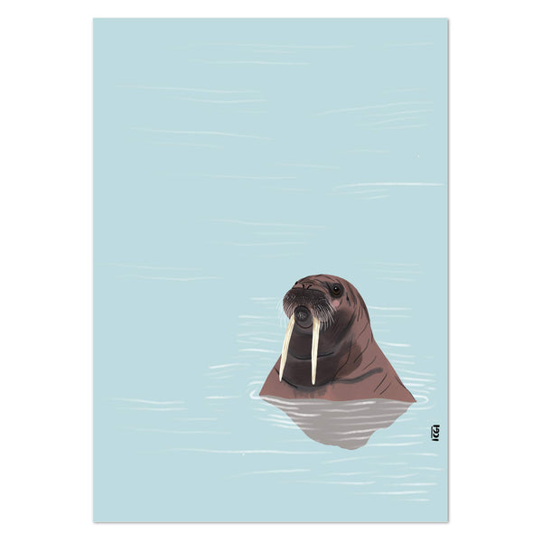 Walrus by Curious Nonsense Art Print