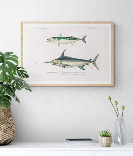 Different Types of Fishes Art Print