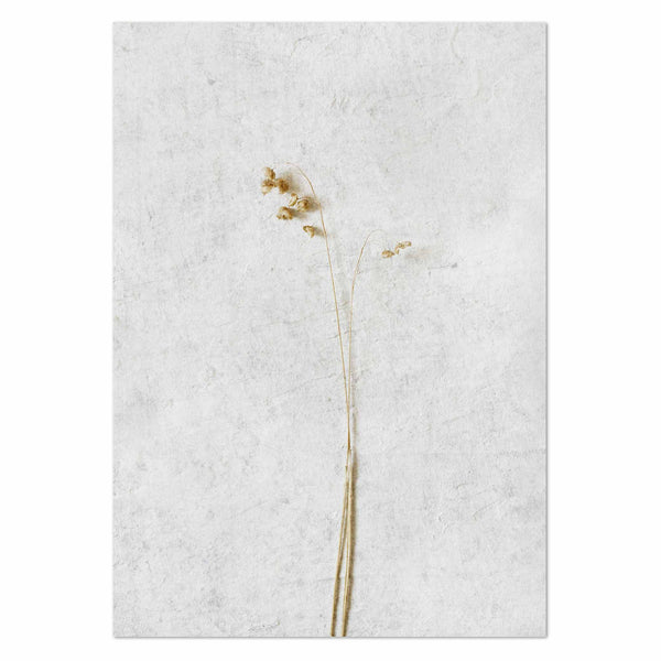 Wild Botanical 5 Art Print