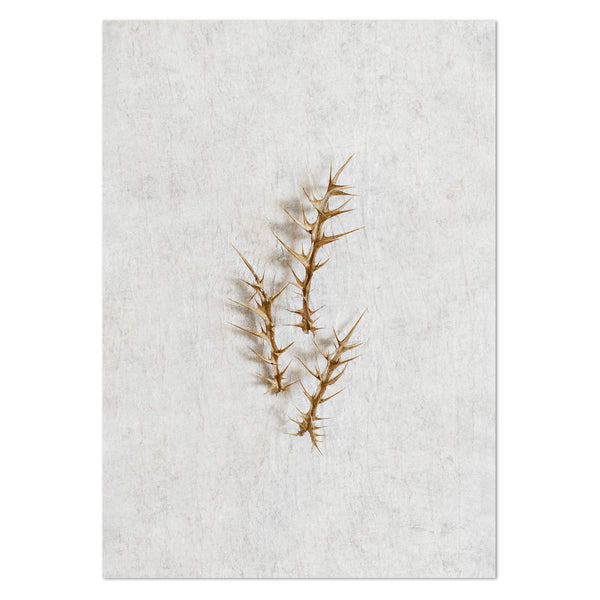 Wild Botanical 7 Art Print