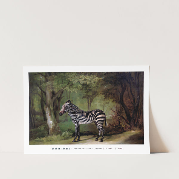 Zebra by George Stubbs Art Print