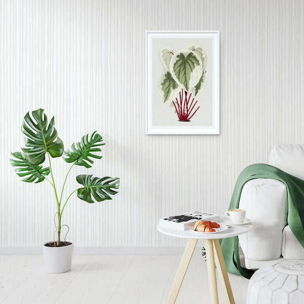 Tatarian Dogwood Plant Art Print