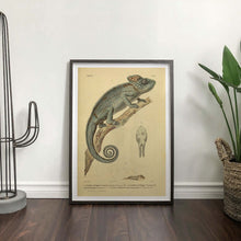 Load image into Gallery viewer, Chameleon Reptile Art Print