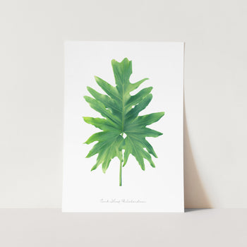 Comb Leaf Philodendron Leaf Art Print