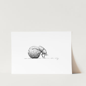 Dung Beetle Sketch Art Print