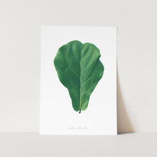 Load image into Gallery viewer, Fiddle Leaf Fig Art Print