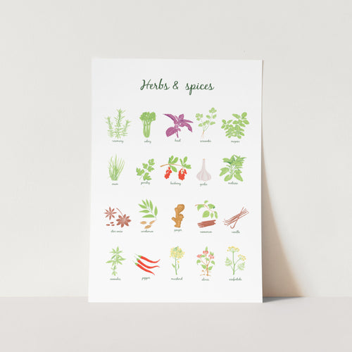 Herbs and Spices Art Print