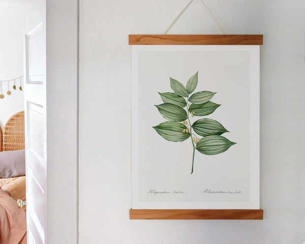 king Solomons seal snap frame