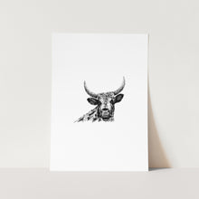 Load image into Gallery viewer, Nguni Cattle Sketch Art Print