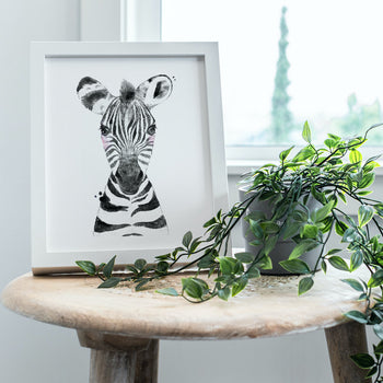 Safari Baby Zebra Art Print
