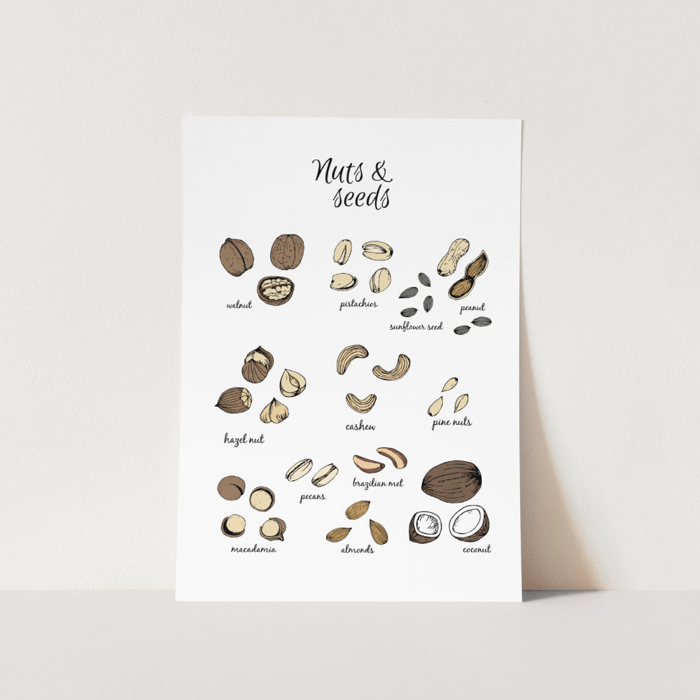 Nuts and Seeds Art Print