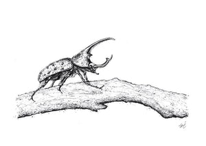Rhino Beetle Sketch Art Print