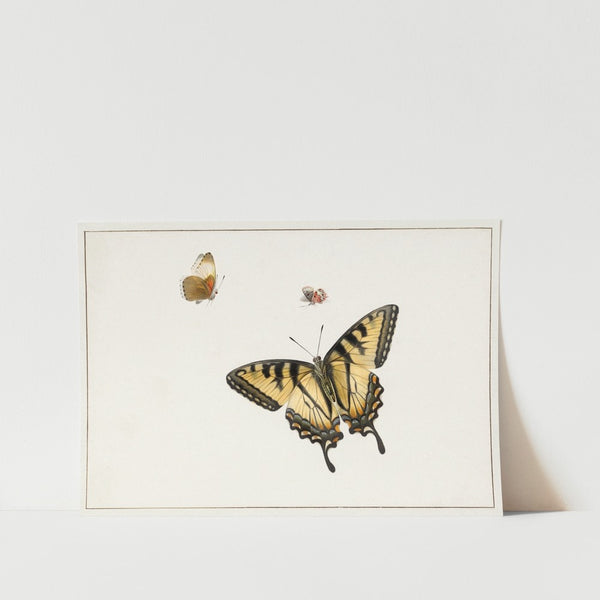 Three Free Butterflies Art Print