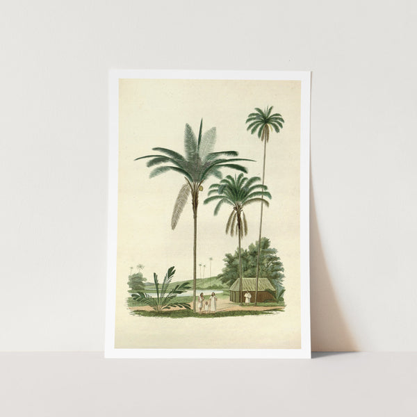 Vintage Palm Location Art Print