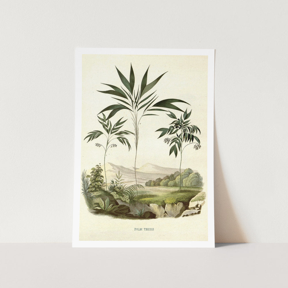 Vintage Palm Tree Hills Art Print