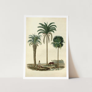 Vintage Palm Tree Living Art Print