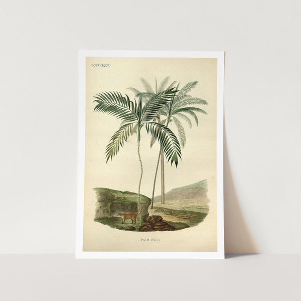 Vintage Palm Tree Art Print