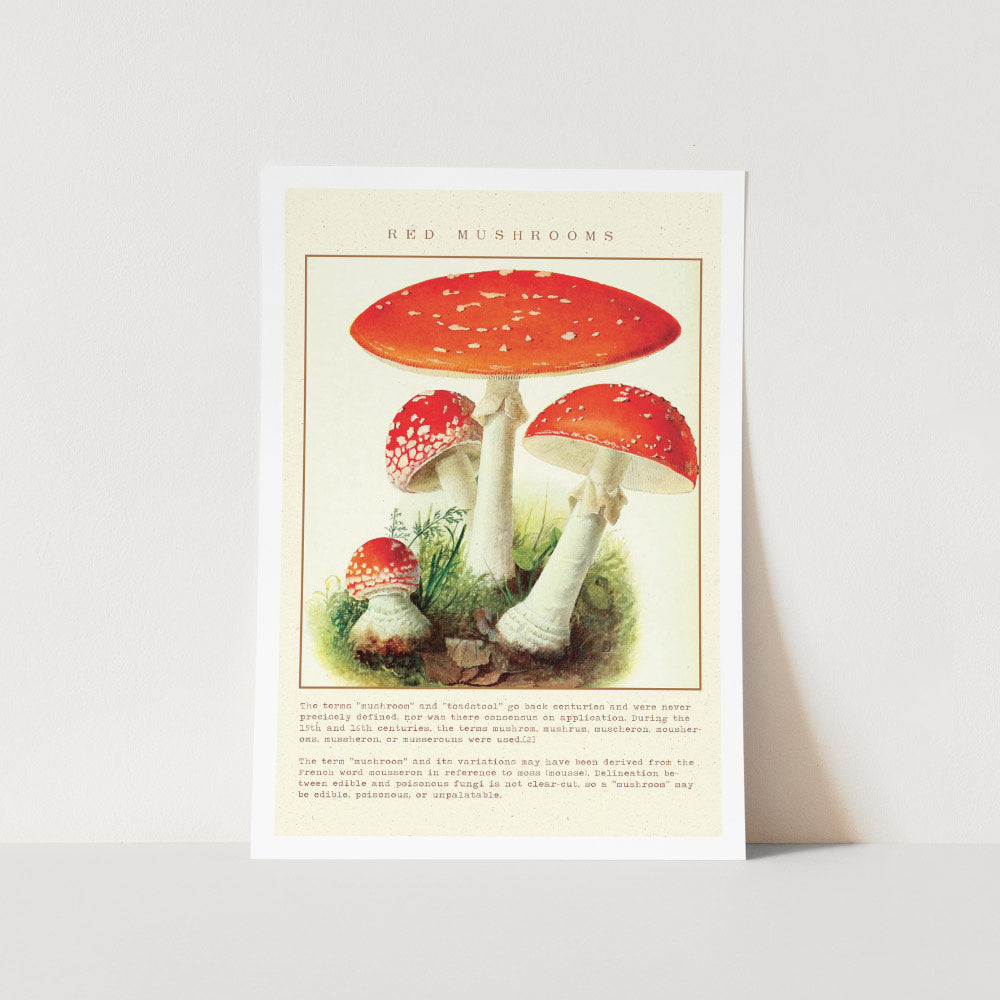 Vintage Red Mushrooms Art Print
