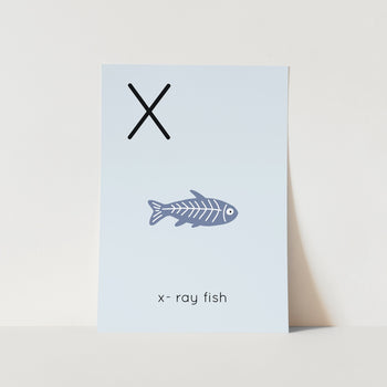 X for X-ray Fish Alphabet Art Print